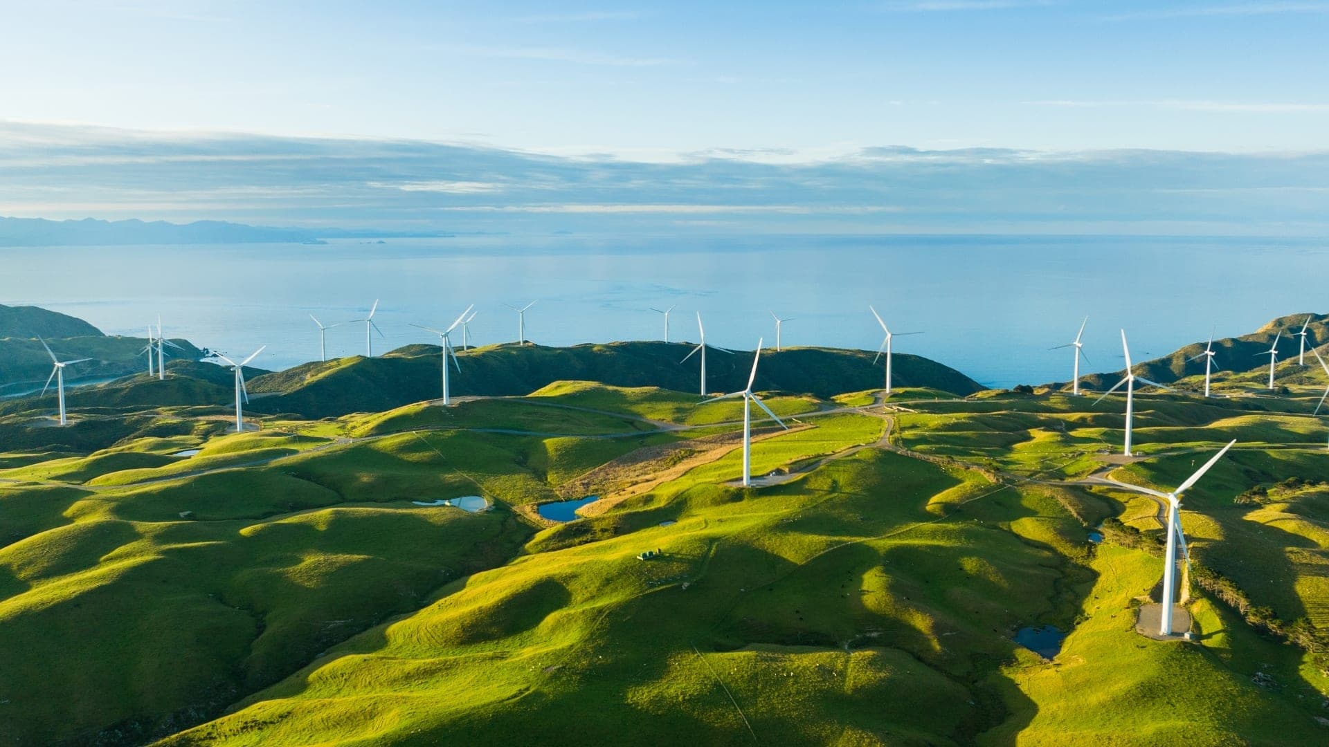 Carbon Neutral vs Net Zero: What Are the Key Differences?