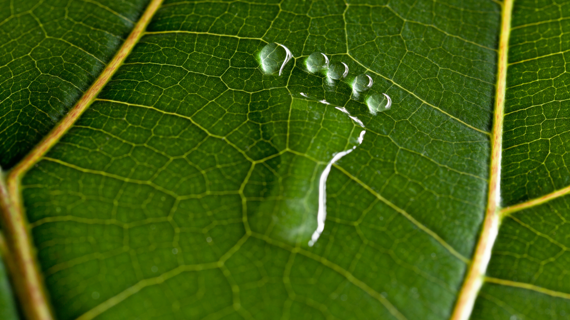 Su Ayak İzi Nedir? Kurumsal Su Ayak İzi Hesaplamasının Önemi